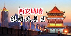 国产男人插男人中国陕西-西安城墙旅游风景区