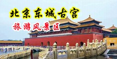 美女自慰潮喷免费看中国北京-东城古宫旅游风景区